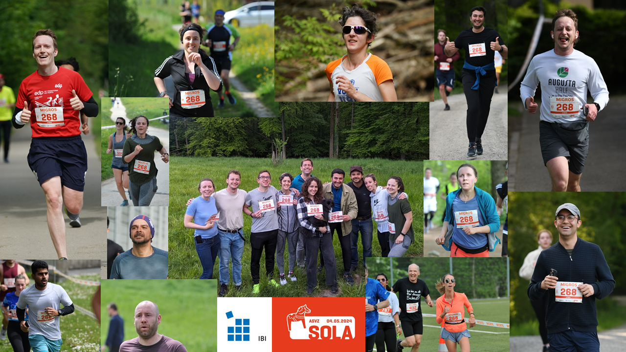 Collage of Pictures from SOLA 2024